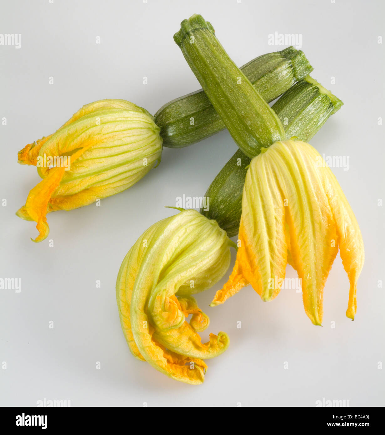 Zucchini mit Blumen Stockfoto
