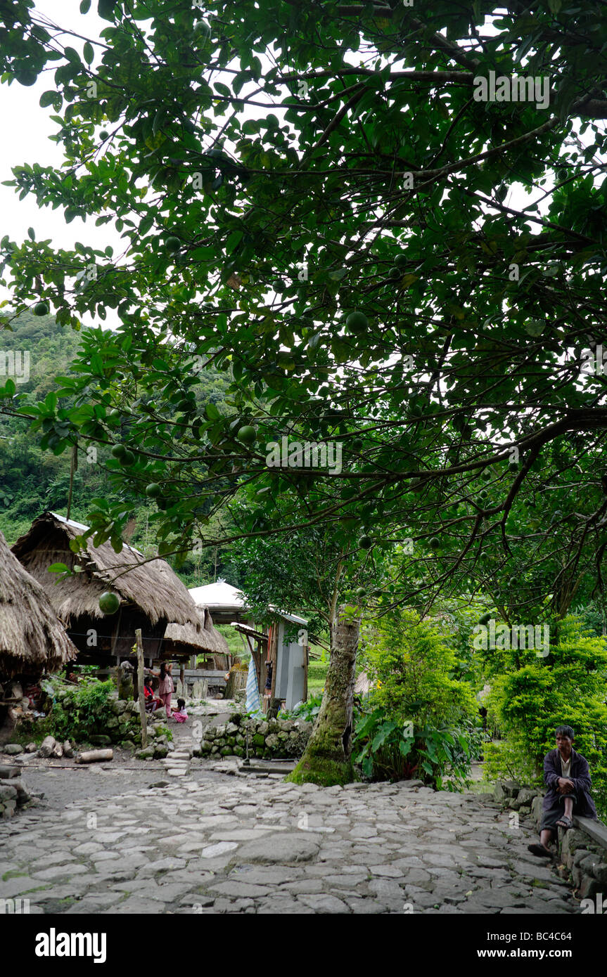 Batad, in der Nähe von Banaue, Ifugao, North Luzon, Philippinen Stockfoto