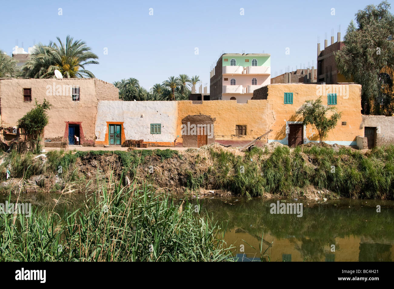 Nile River Ägypten Bauernhof Landwirt Landwirtschaft Feld zwei jungen Esel Warenkorb Wasserpumpe Stockfoto