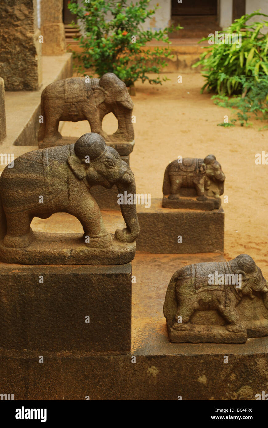 Padmanabhapuram Palast, Travancore, Kerala, Tamil Nadu Stockfoto