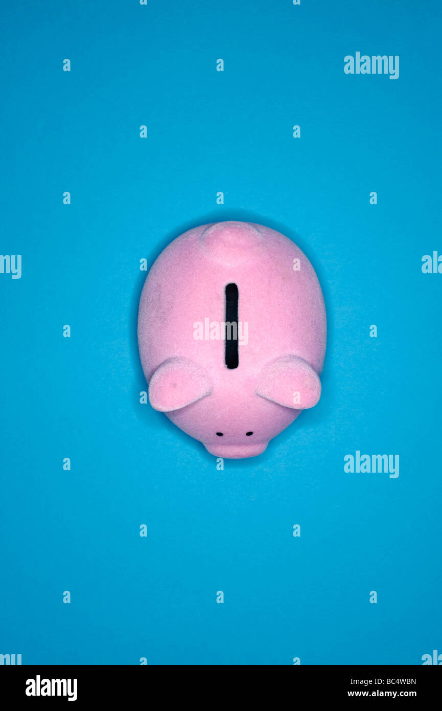 Rosa Sparschwein Stockfoto