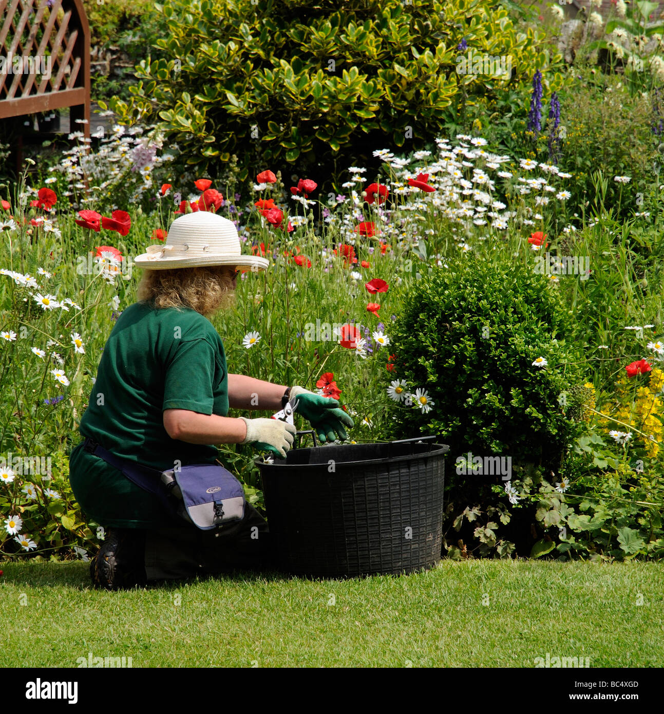 Weibliche Gärtner arbeiten trimmen Pflanzen und Blumen im Sommer
