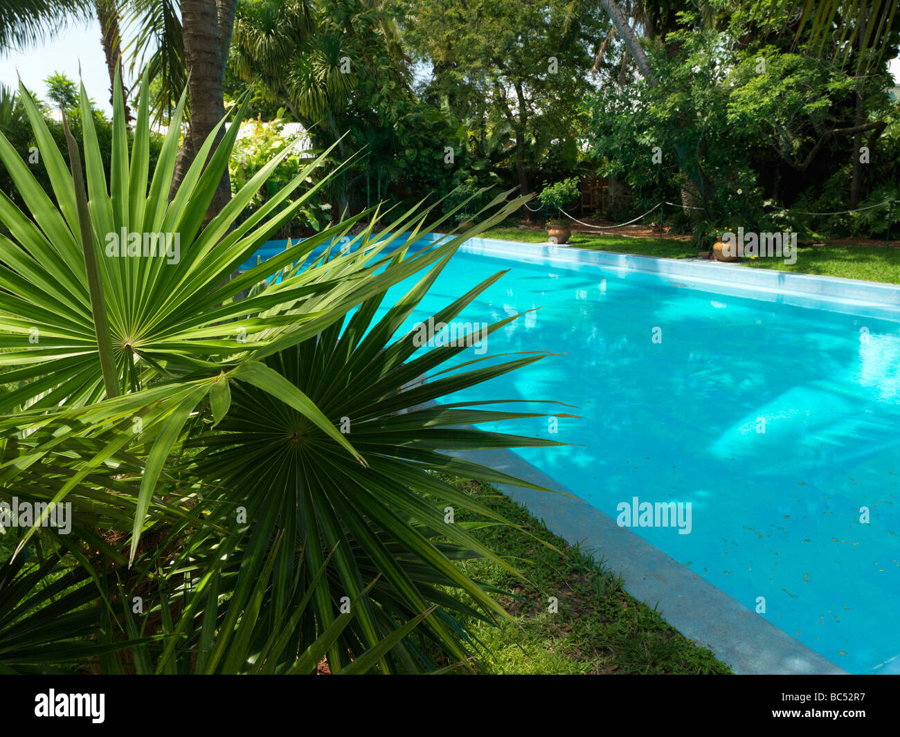 Ernest Hemingway Haus in Key West, das Schwimmbad Stockfoto