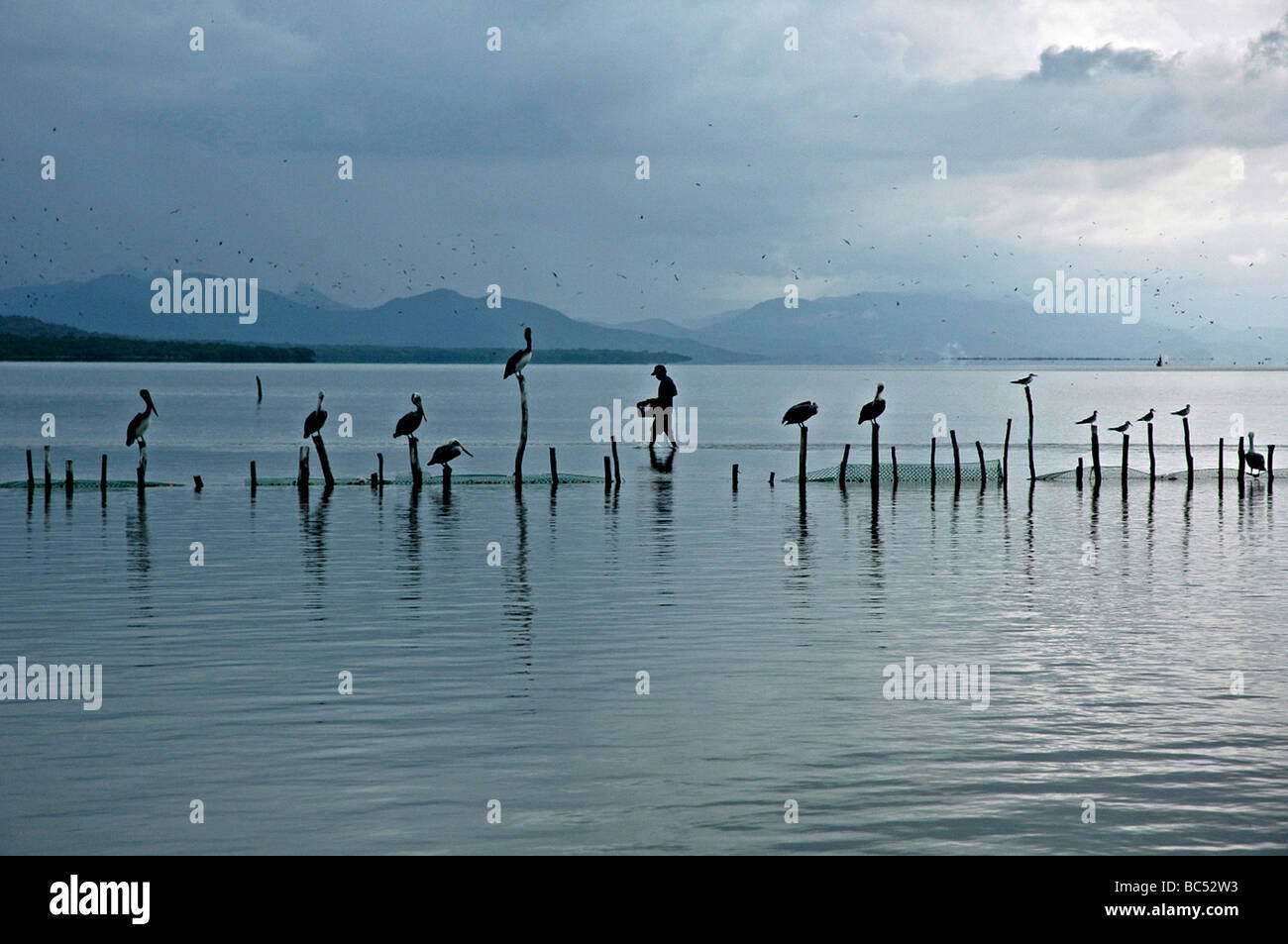 Fischer, die Überquerung des Flusses, Barcelona, Venezuela. Stockfoto