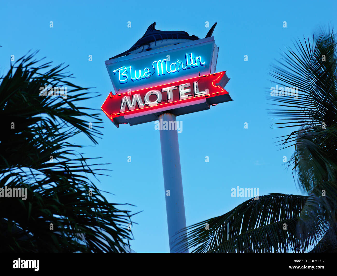 Blaues Marlin-Motelschild in Neon Stockfoto