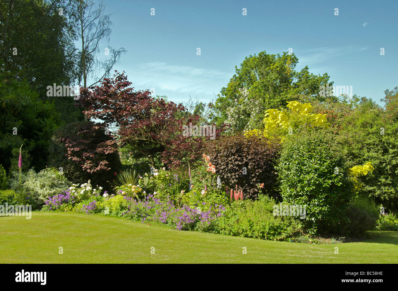Schönen Sommer Garten Grenze Norfolk England Stockfoto