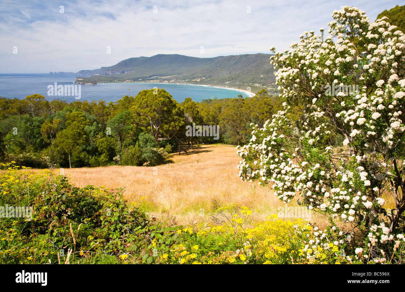 Pirates Bay Tasman Halbinsel Tasmanien Australien Stockfoto
