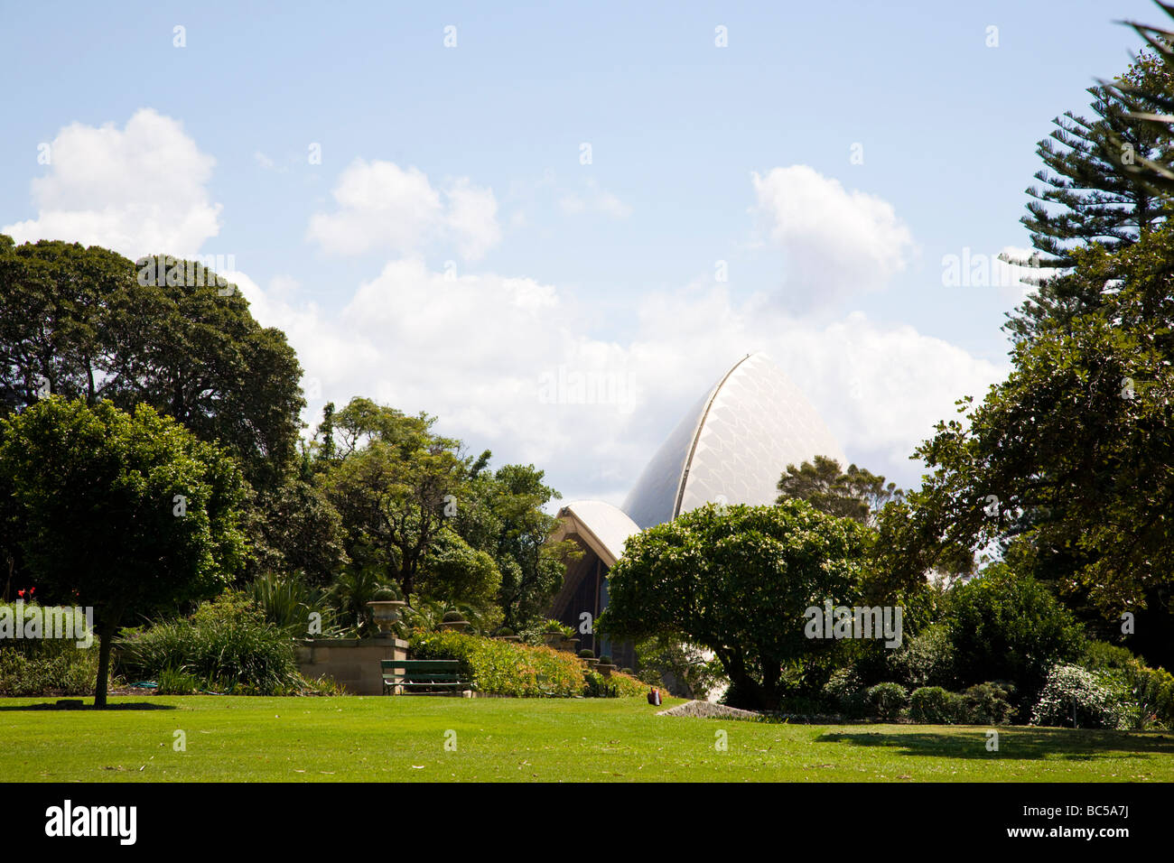 Royal Botanic Gardens Sydney Opernhaus in der Ferne Stockfoto