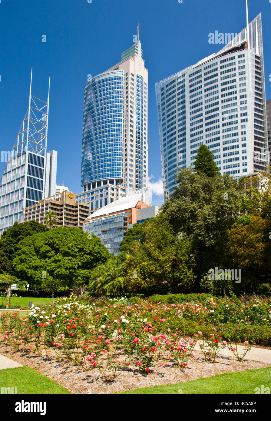 Royal Botanic Gardens Sydney mit dem Bau des CBD im Hintergrund Australien Stockfoto