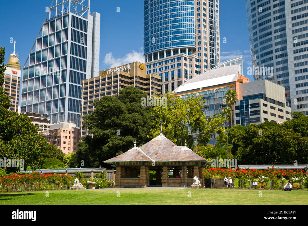 Royal Botanic Gardens Sydney mit dem Bau des CBD im Hintergrund Australien Stockfoto
