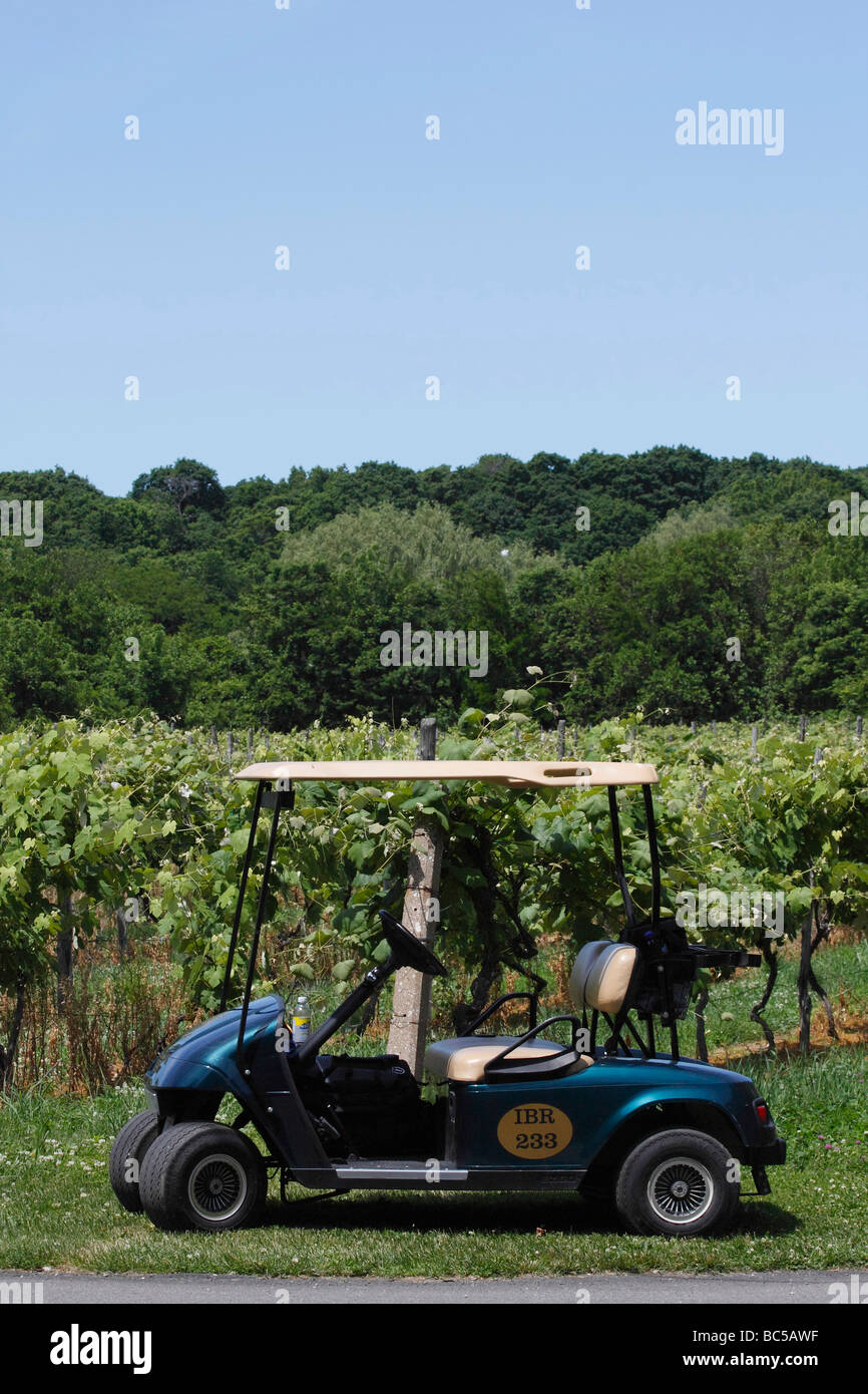 Amerikanisches Weinbaugebiet mit Weinreben, Bäumen und Traubenfeldern Weinbau produziert Amerika in Put in Bay Ohio USA Hi-res Stockfoto