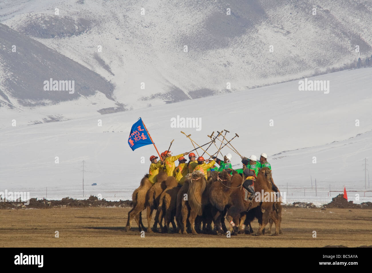 Mongolische Kamel Polo-Spieler Stockfoto