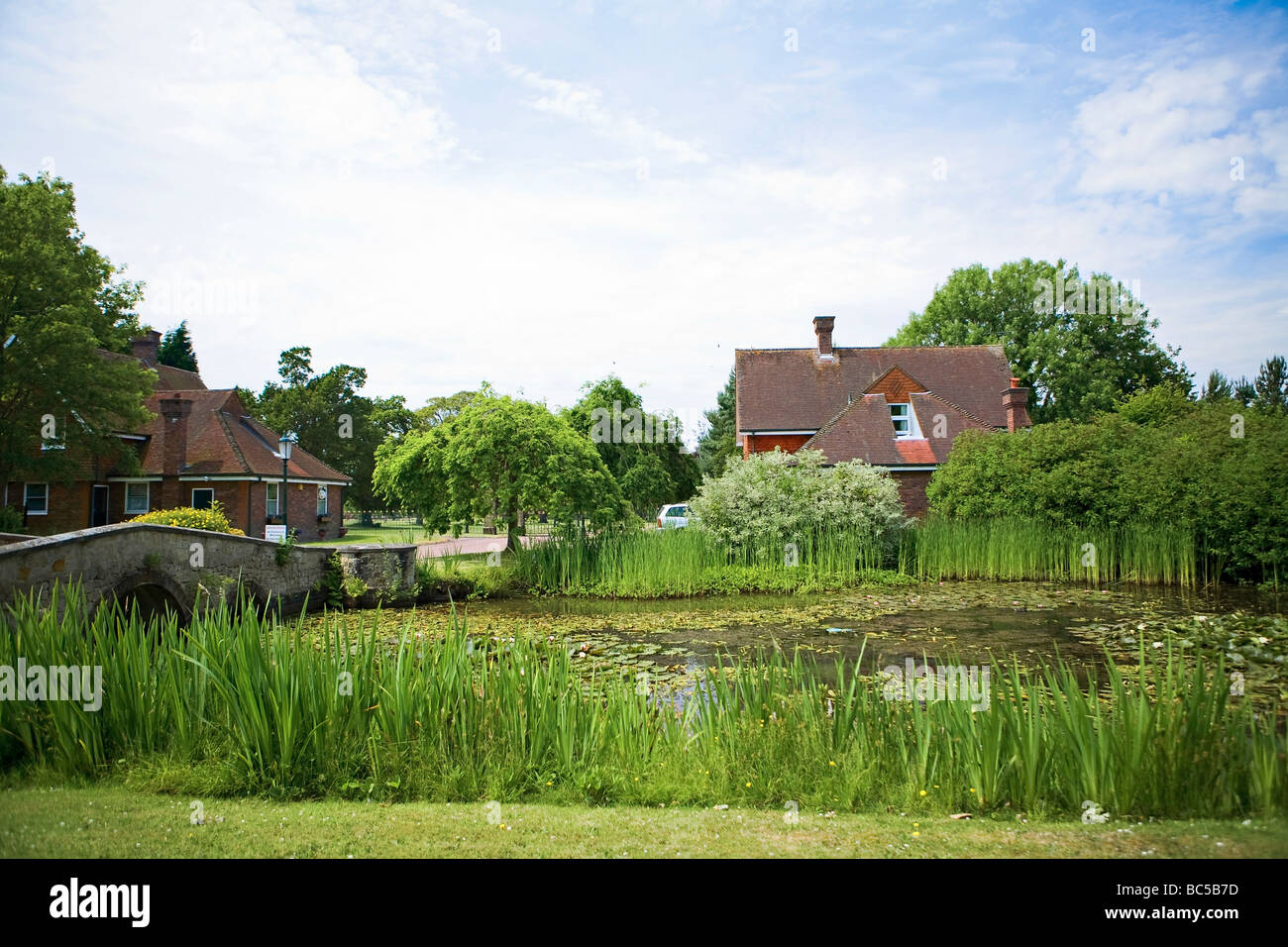 Das Dorf Teich in Warninglid, im Frühjahr in West Sussex, UK Stockfoto