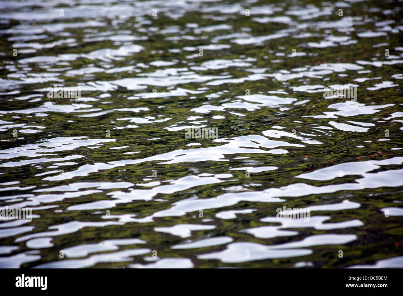 Licht reflektiert auf dem Wasser in einem See in Hangzhou, China Stockfoto