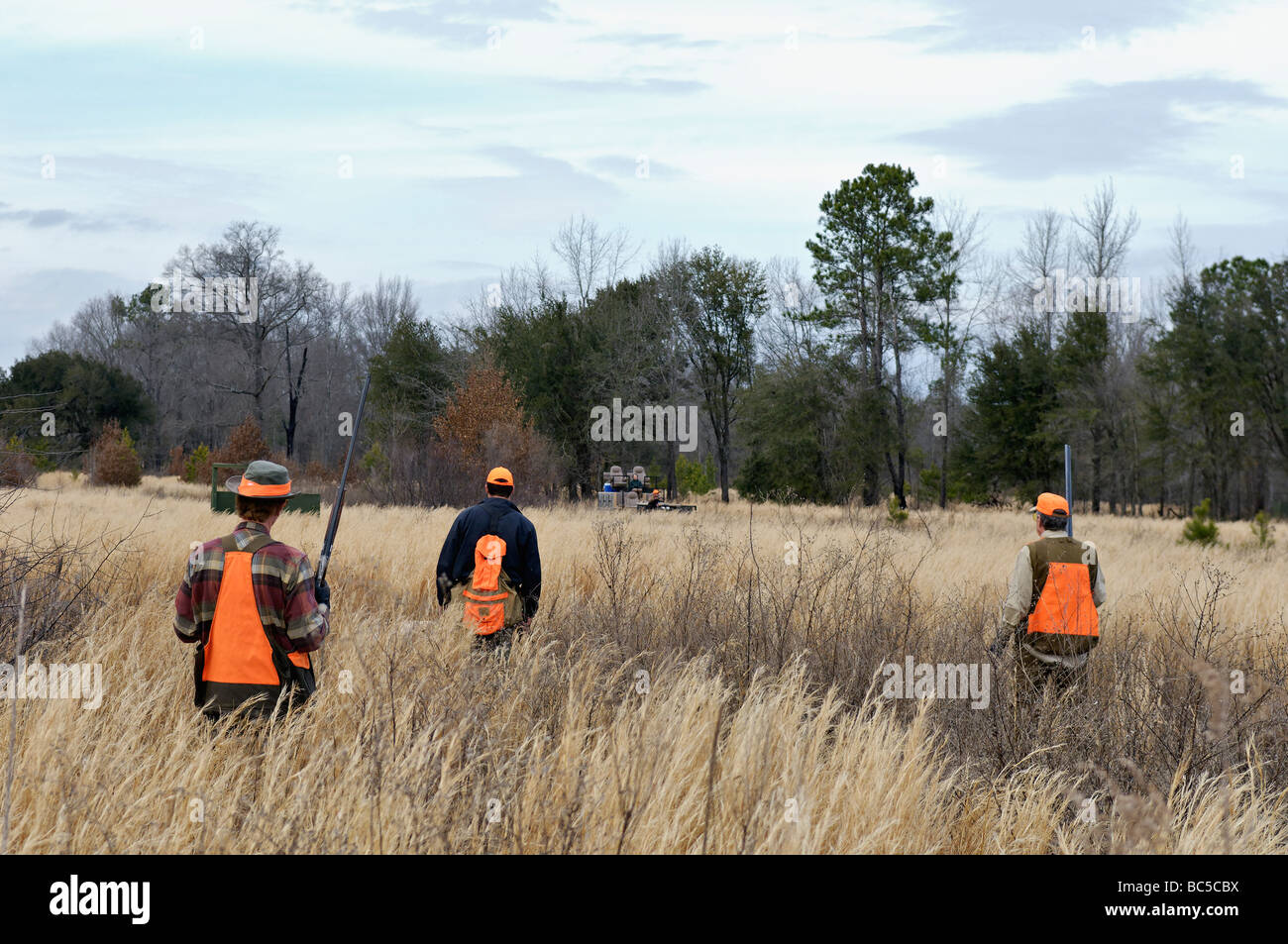 Hochland Vogel Jäger und Guide Wandern durch Feld in Richtung Jagd Rog auf Buckeye-Plantage in Piney Woods von Georgien Stockfoto