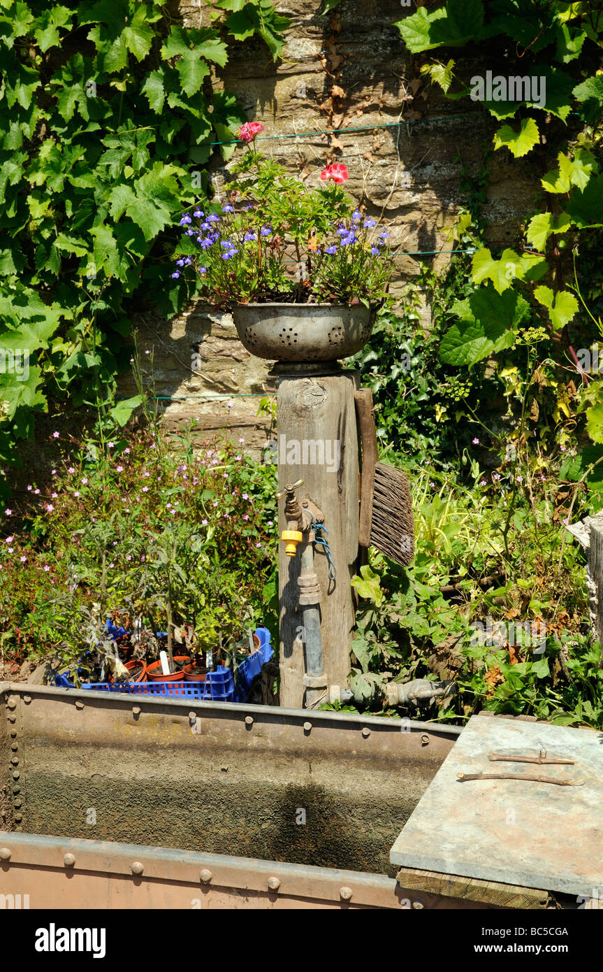 Englische ummauerte Garten Pflanzen umgeben den Wasserhahn und tank Stockfoto