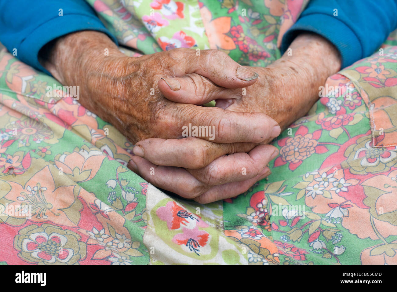 Nahaufnahme von faltige Hände eine alte Bäuerin aus Böhmen-Tschechien Stockfoto