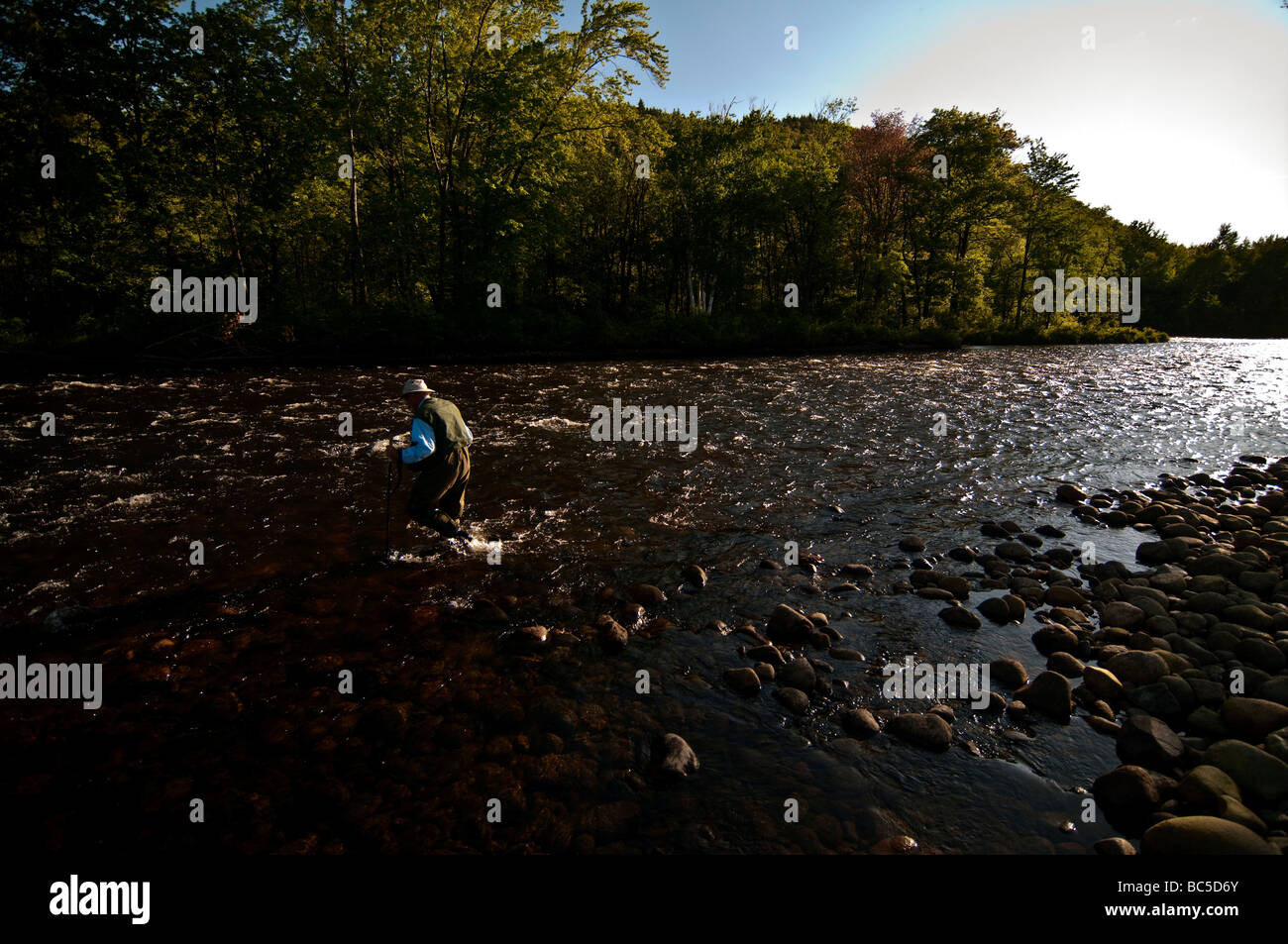 66 jährige pensionierte Mann Angeln im nördlichen NH am Androscoggin River. Stockfoto