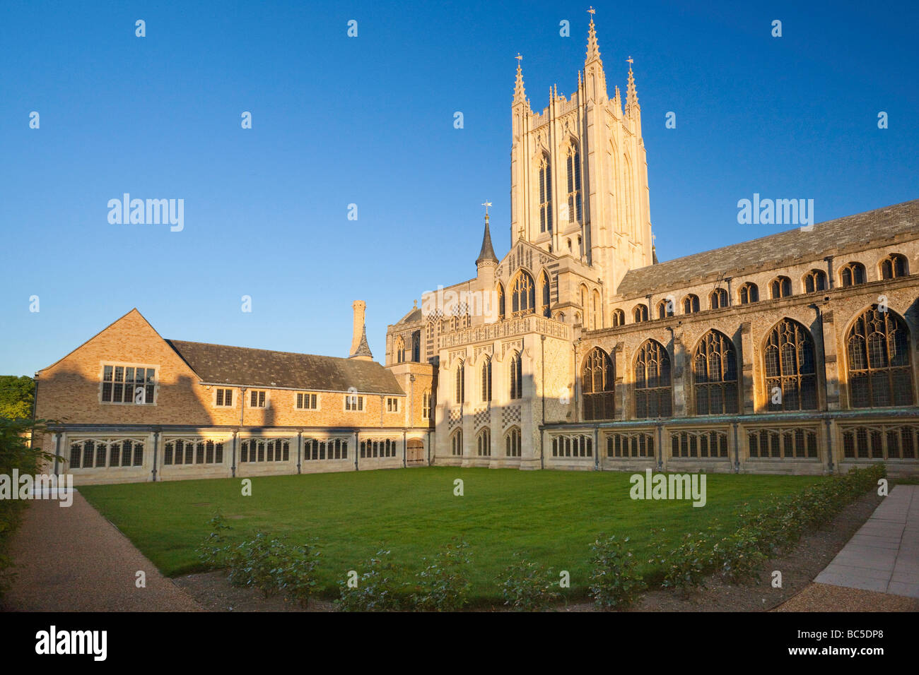 St James / St Edmundsbury Kathedrale in Bury St Edmunds, Suffolk, UK Stockfoto