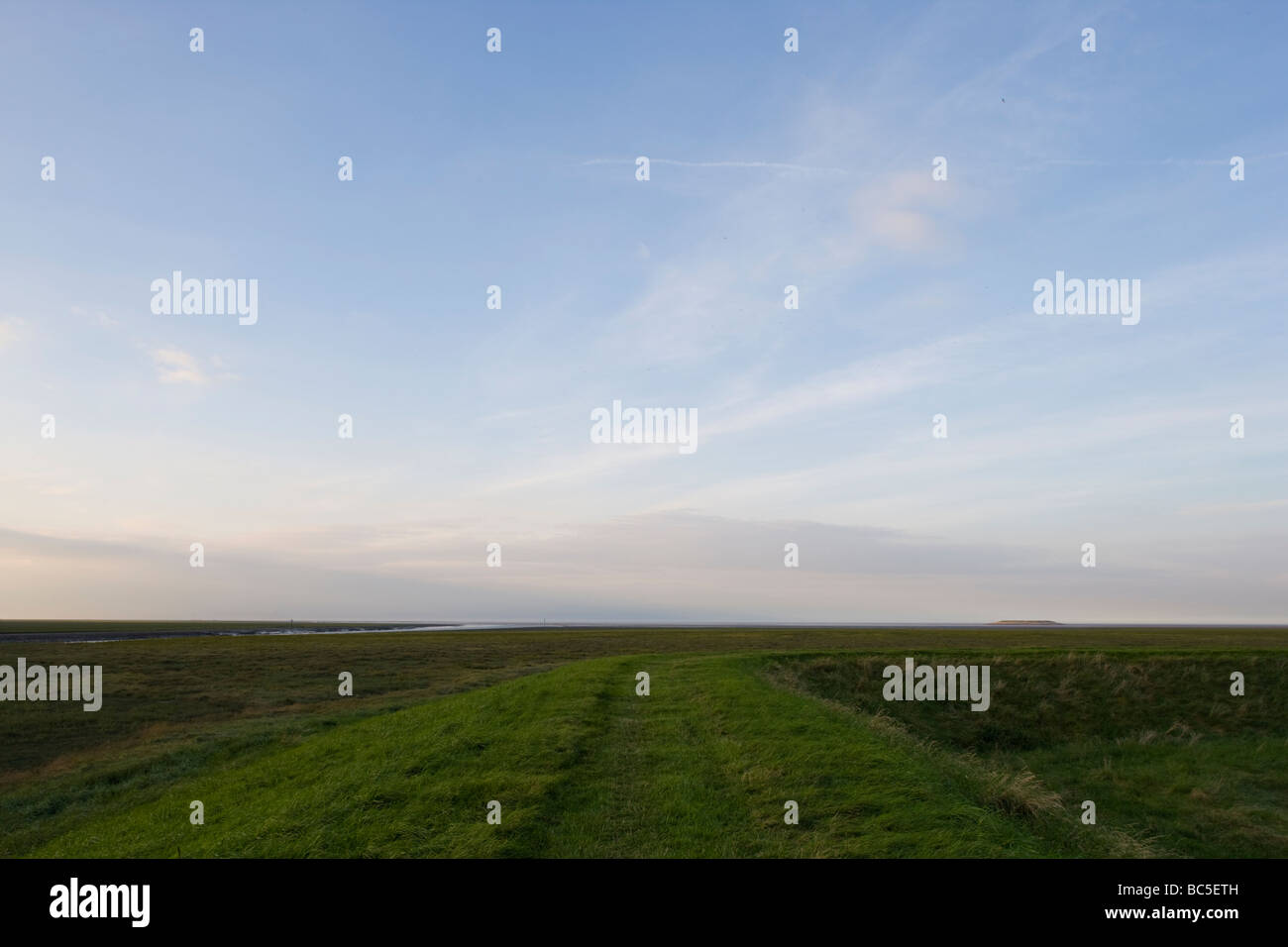 Jungs den Kopf Terrington Marsh Wash Lincolnshire England Stockfoto