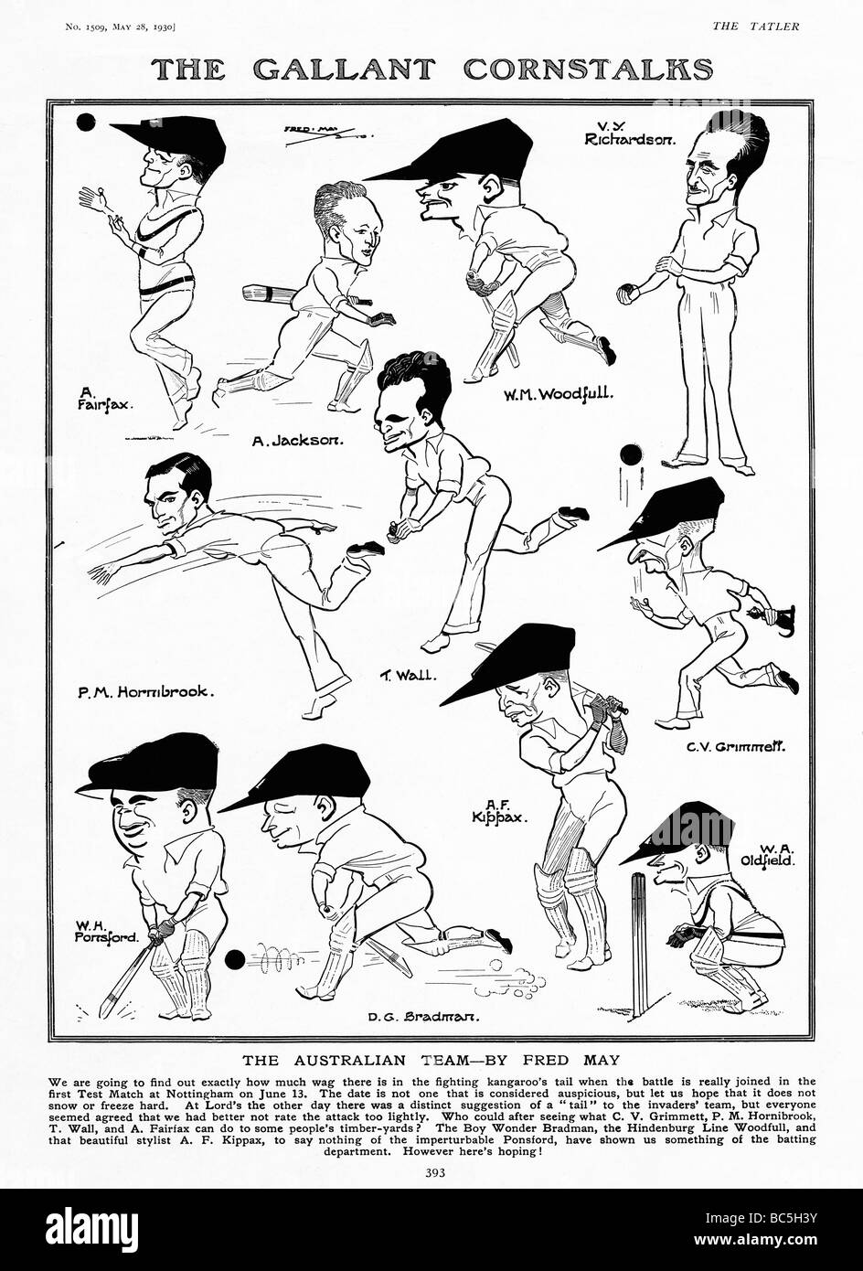 Gallant Maisstauden 1930 Karikaturen von Fred Mai von der australischen Kricketspieler touring England für Baureihe 1930 Asche Stockfoto