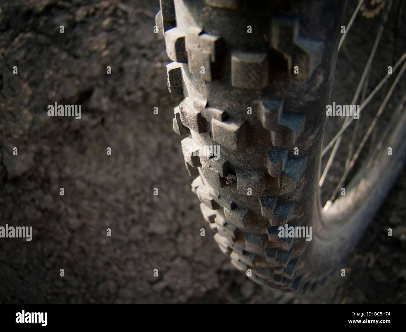 Fahrrad Reifen MTB Stockfoto