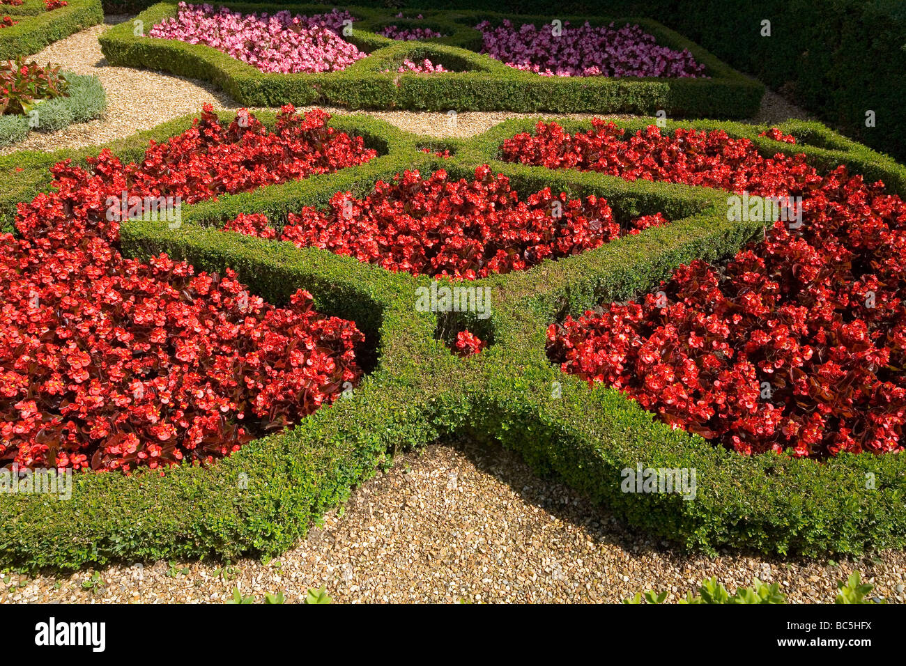 Ornamentale Blumenbeet Stockfoto