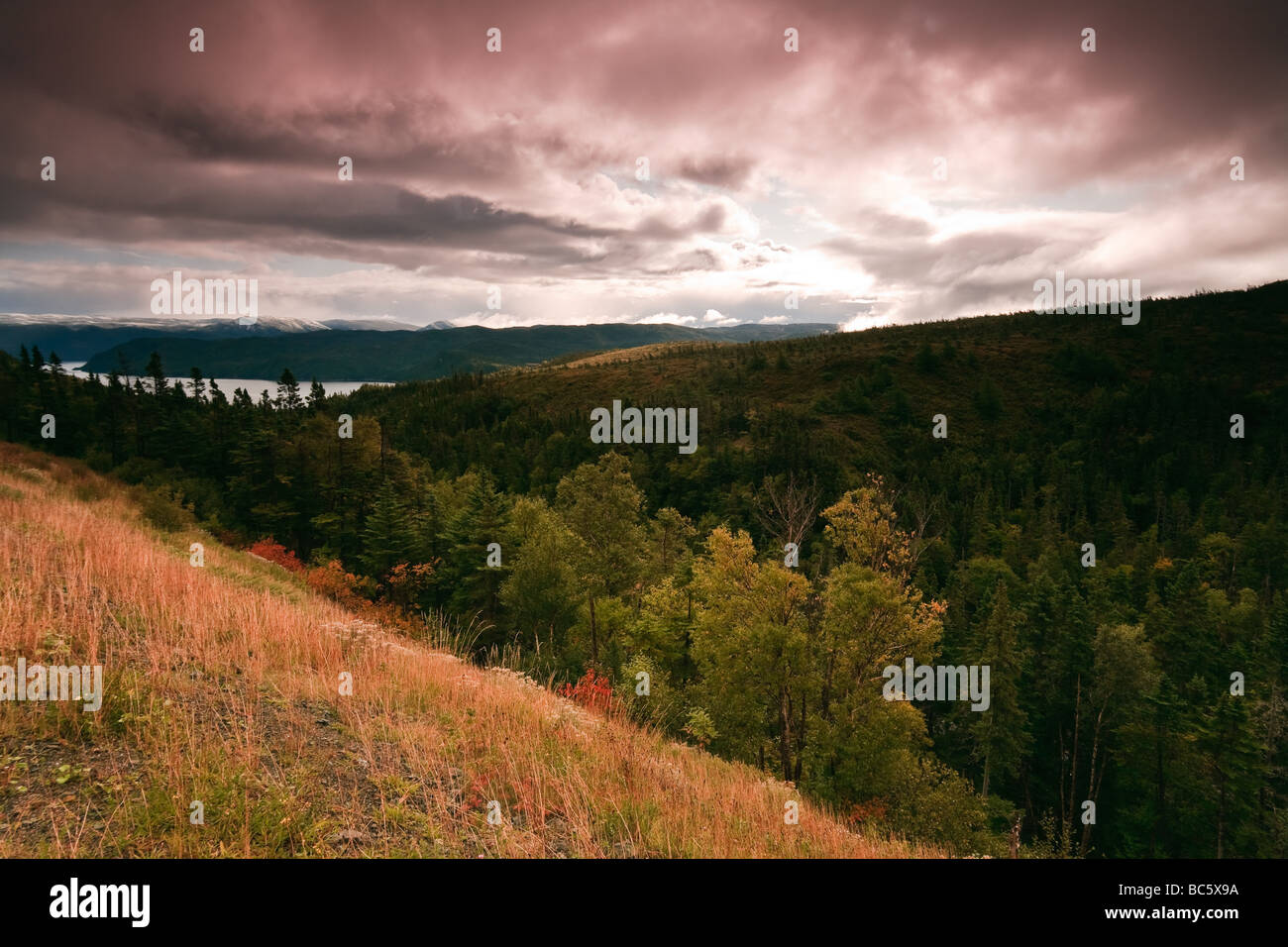 Hochebenen und der südlichen Arm des Bonne Bay, Gros Morne National Park, Neufundland, Ostkanada. Stockfoto