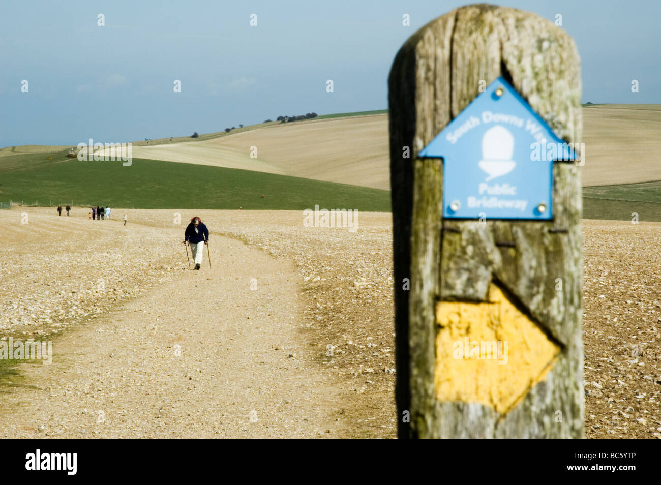 Wanderer auf der South Downs Way in Sussex, England Stockfoto