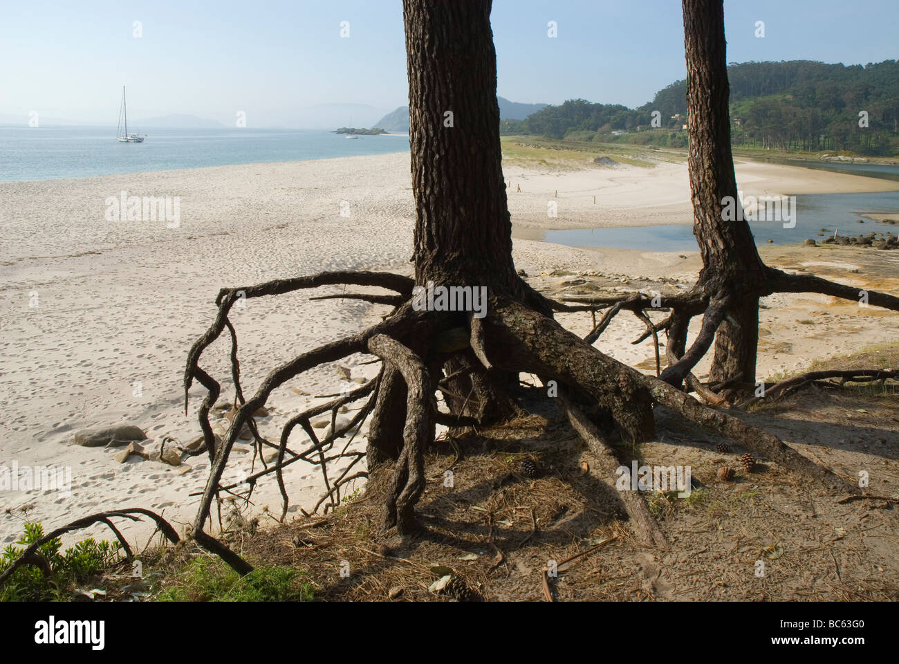 Playa de Rodas, Cíes-Inseln, Pontevedra, Spanien. Stockfoto