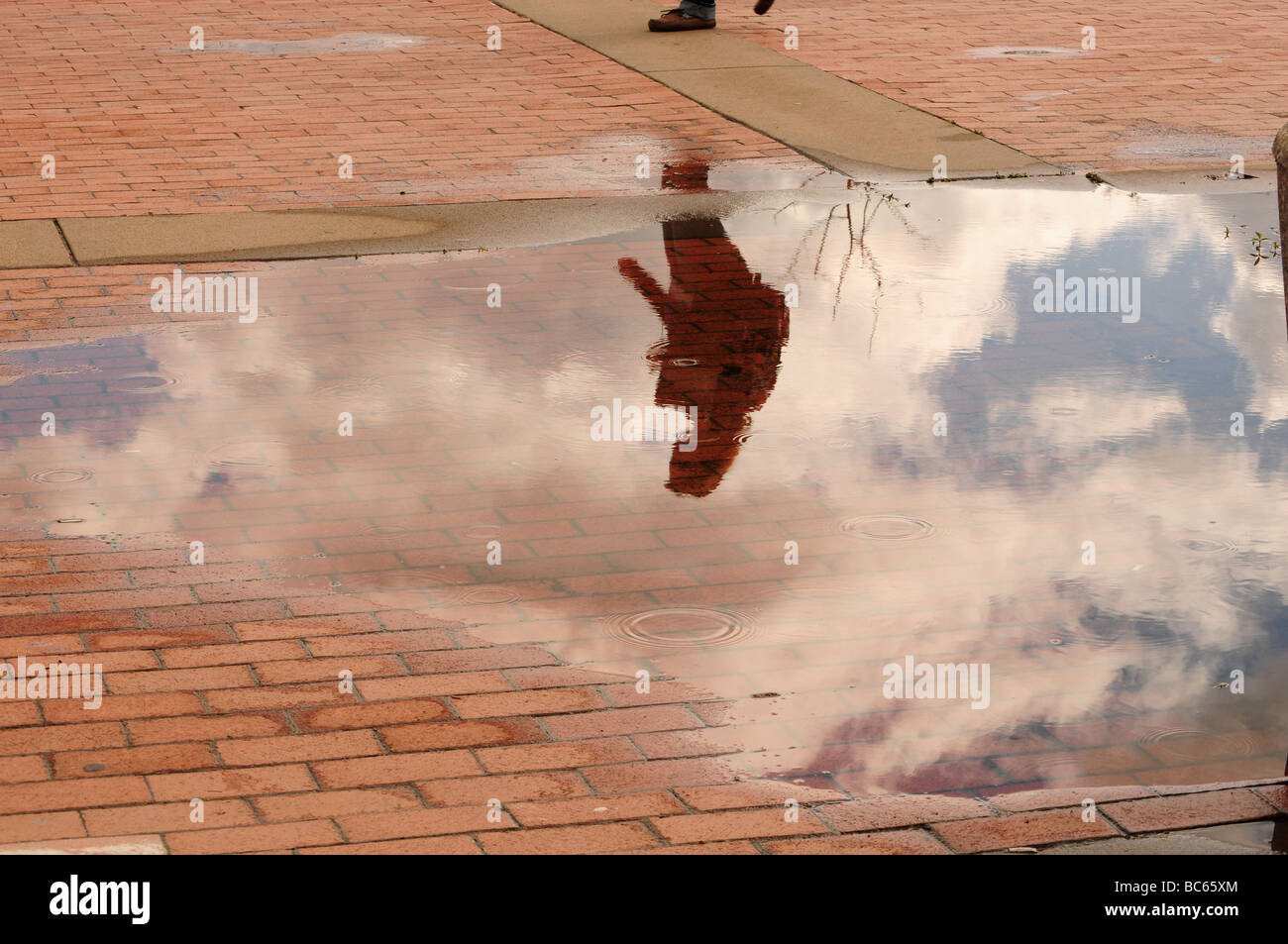 Reflexionen eines Schülers am Stanislaus staatliche Universität in einer Pfütze Frühling auf einem Backstein-Spaziergang Stockfoto