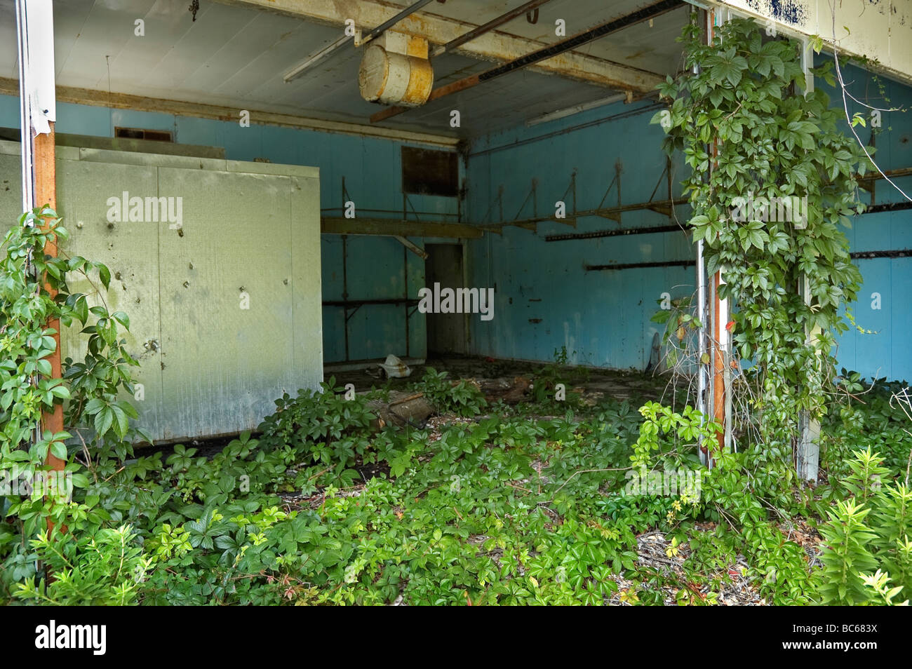 Verlassene Tankstelle und Supermarkt ist überwuchert mit Unkraut und Reben im ländlichen North Florida. Stockfoto