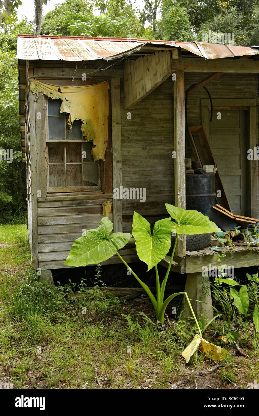 Alten verlassenen Bauernhaus im ländlichen North Florida. Stockfoto