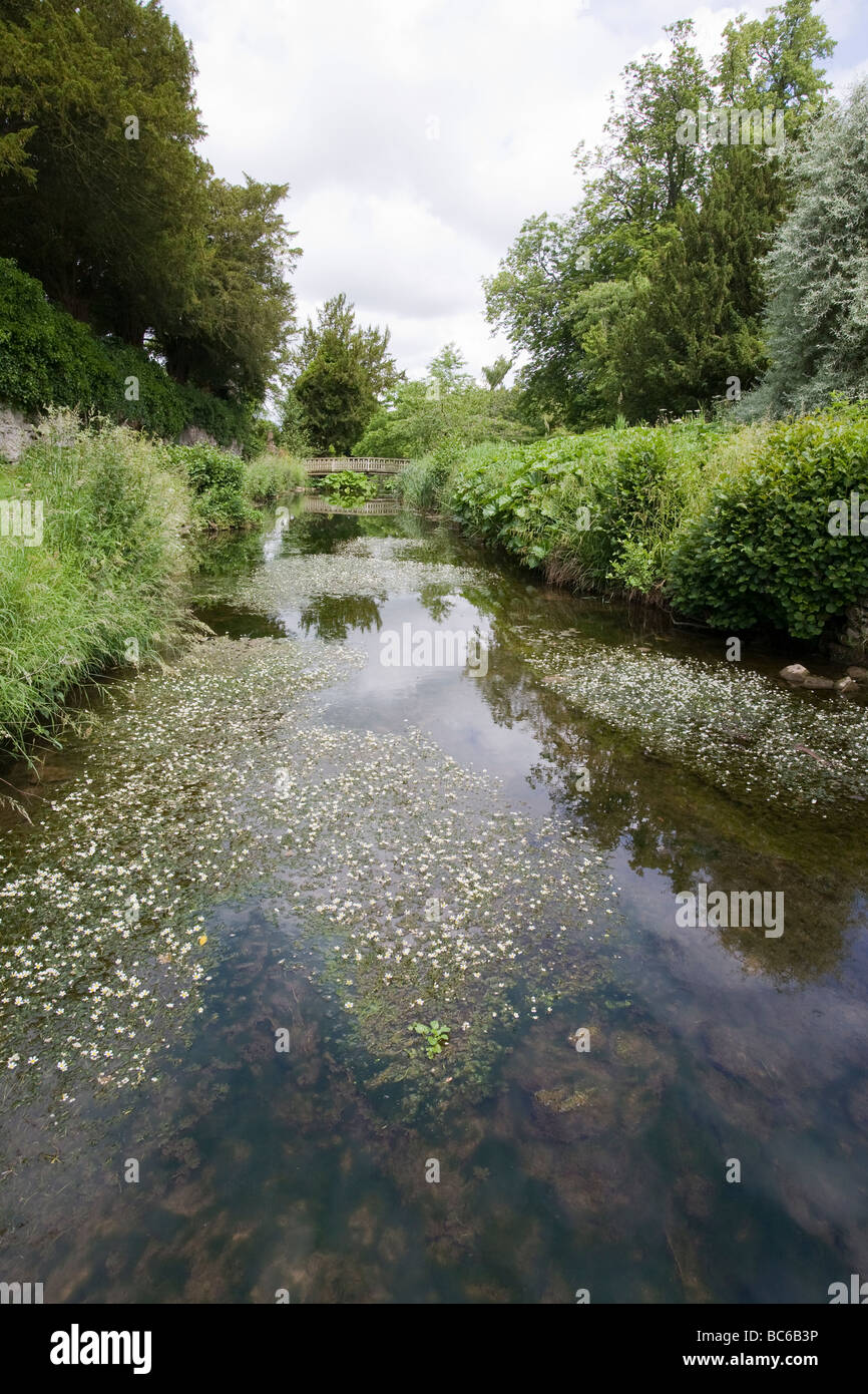 Blick entlang Stream, gesäumt von Bäumen und Sträuchern in einem englischen Landhaus Garten UK Stockfoto