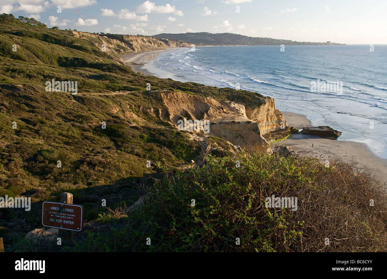 Torrey Pines State Beach in San Diego, Kalifornien, USA. Stockfoto