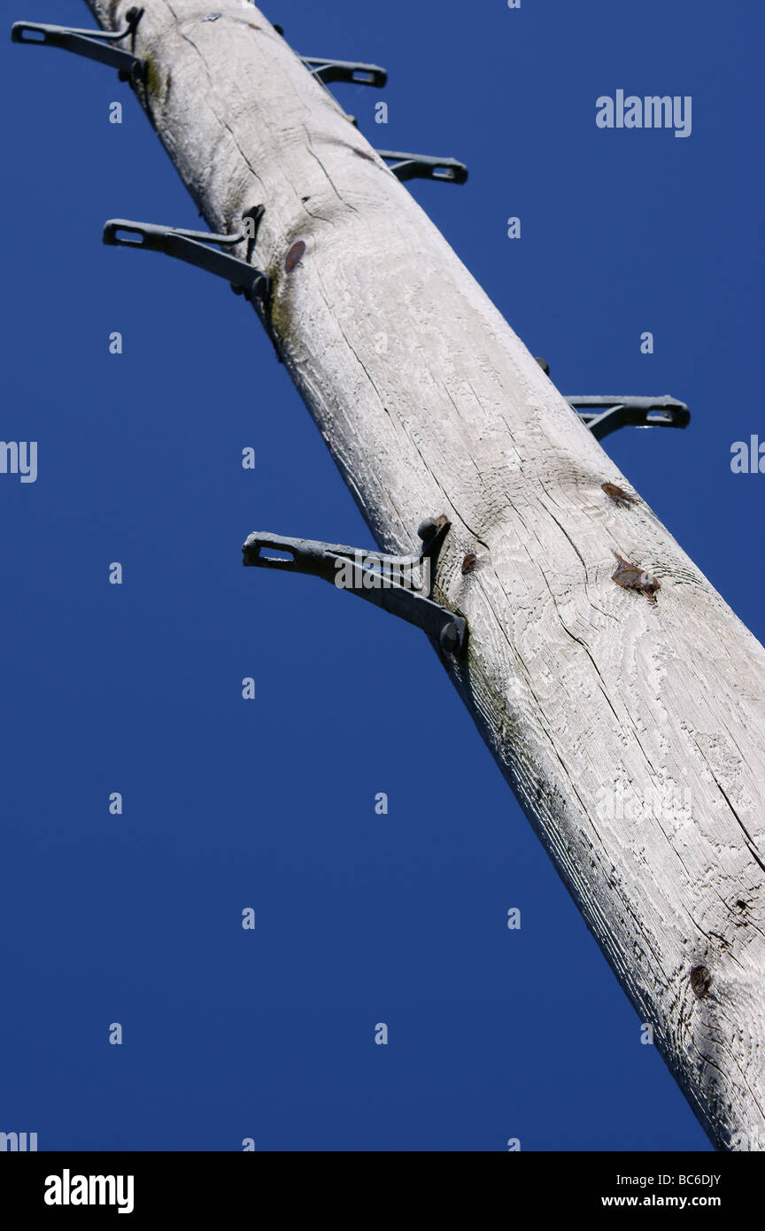 Telegrafenmast mit Seite montiert Klettern Klammern gesetzt vor einem sehr blauen wolkenlosen Himmel. Stockfoto