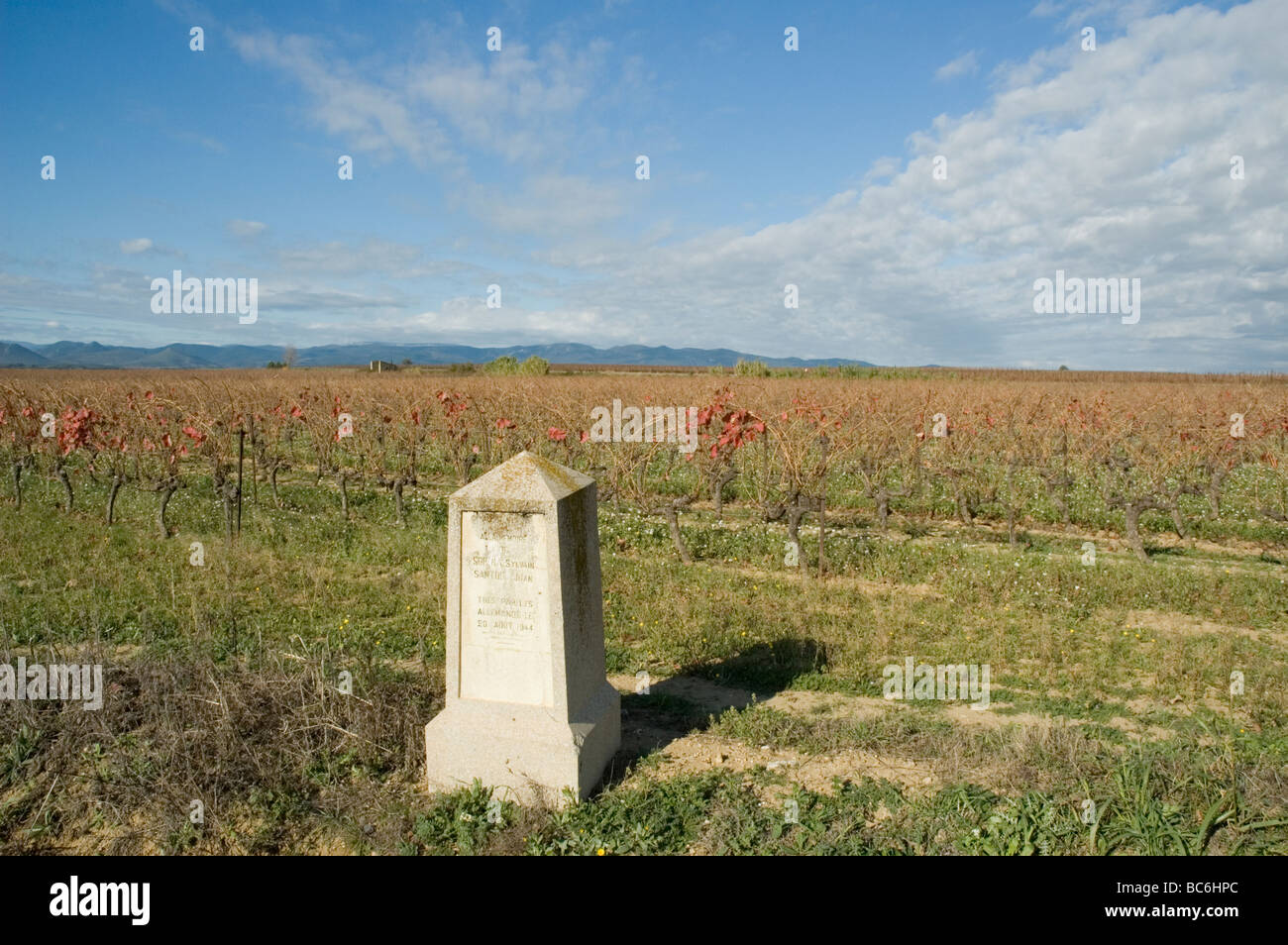 Denkmal für Widerstandskämpfer in Reben, Languedoc Stockfoto