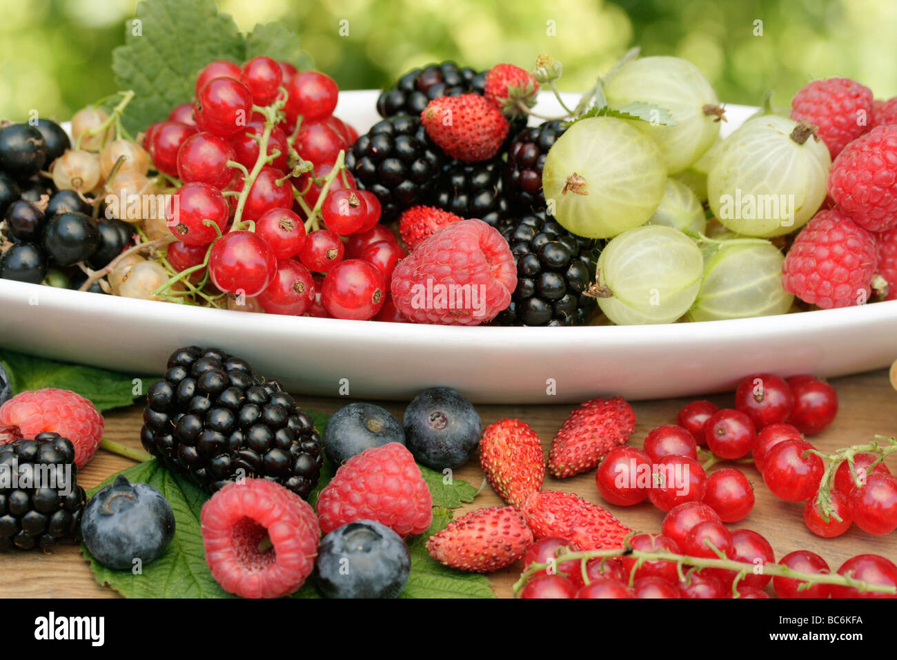 Beeren Stockfoto