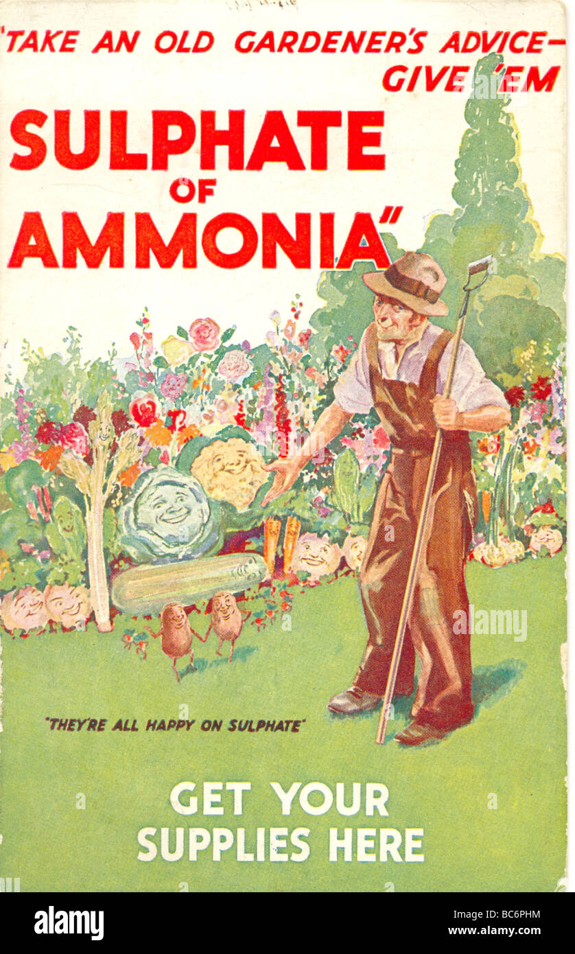 Bild Postkarte Werbung für Sulfat von Ammoniak 1924 Stockfoto