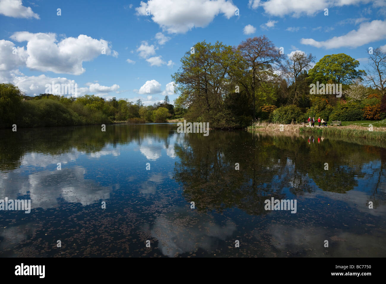 Den Garten See, Newstead Abbey, Nottinghamshire, England UK Stockfoto