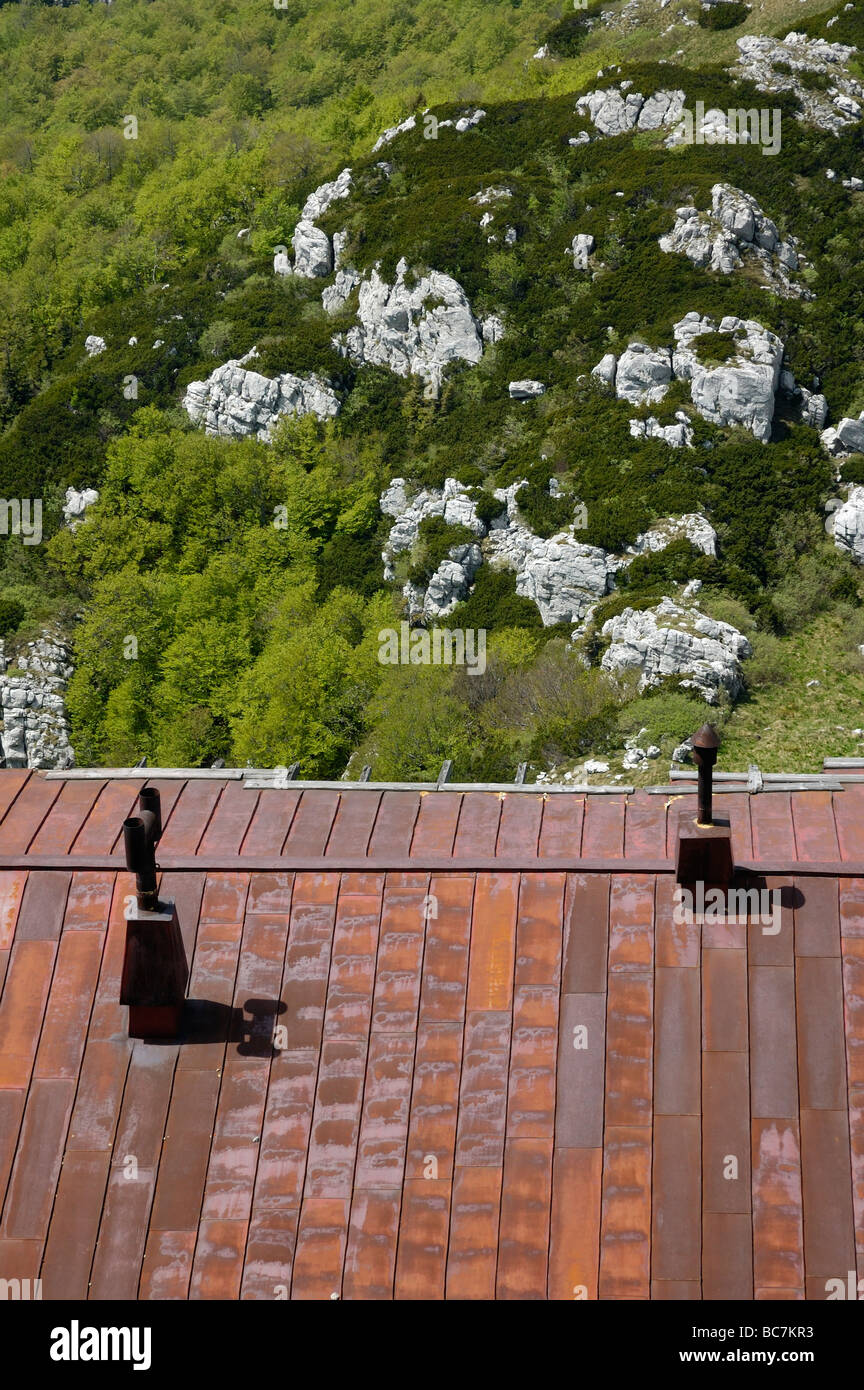 Rostiges Dach Berghütte, Wald und Felsen in bakcground Stockfoto