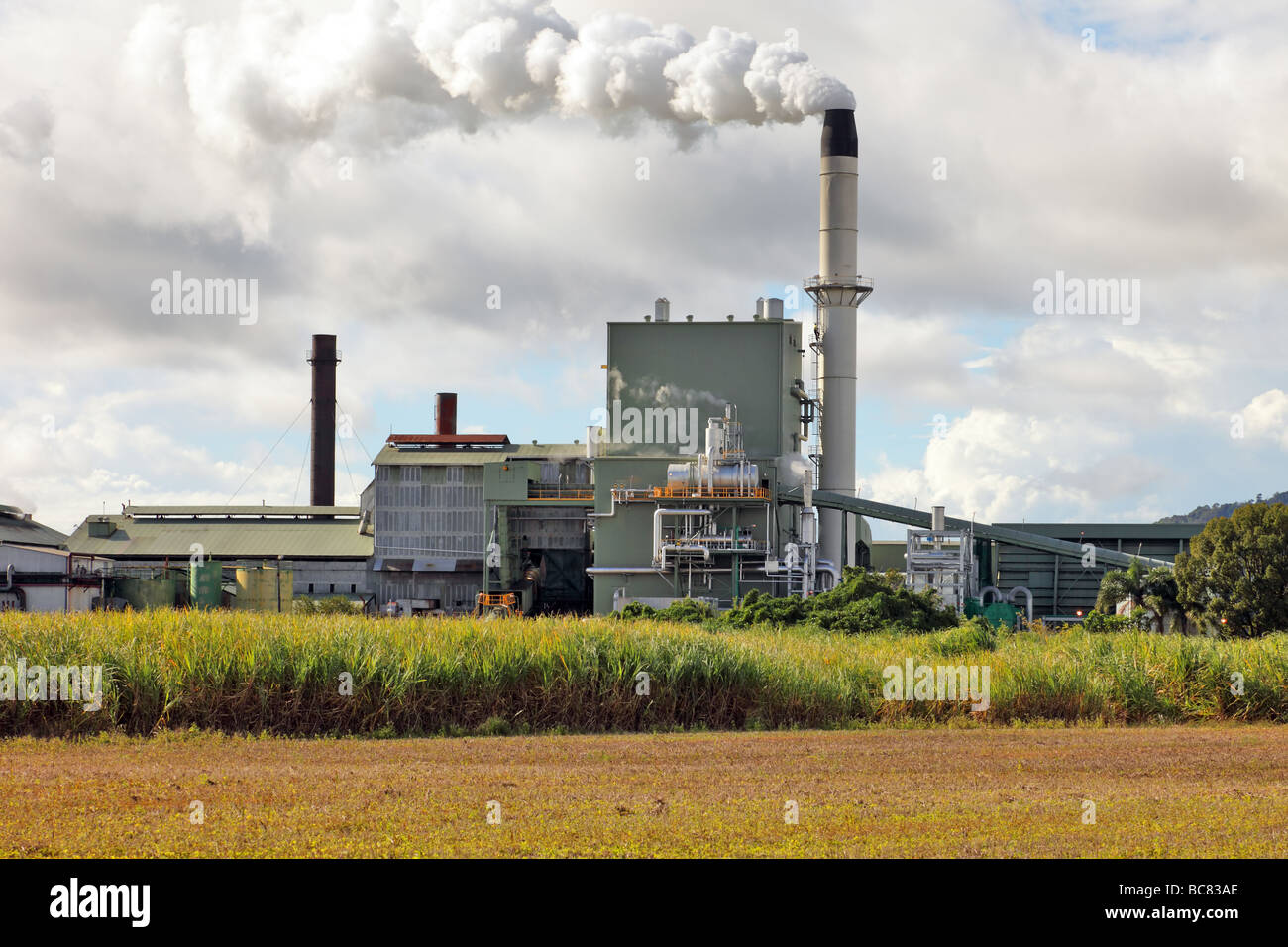 Dunstabzugshaube Kamin von einem Zucker Mühle Öffnungen in die Atmosphäre Stockfoto