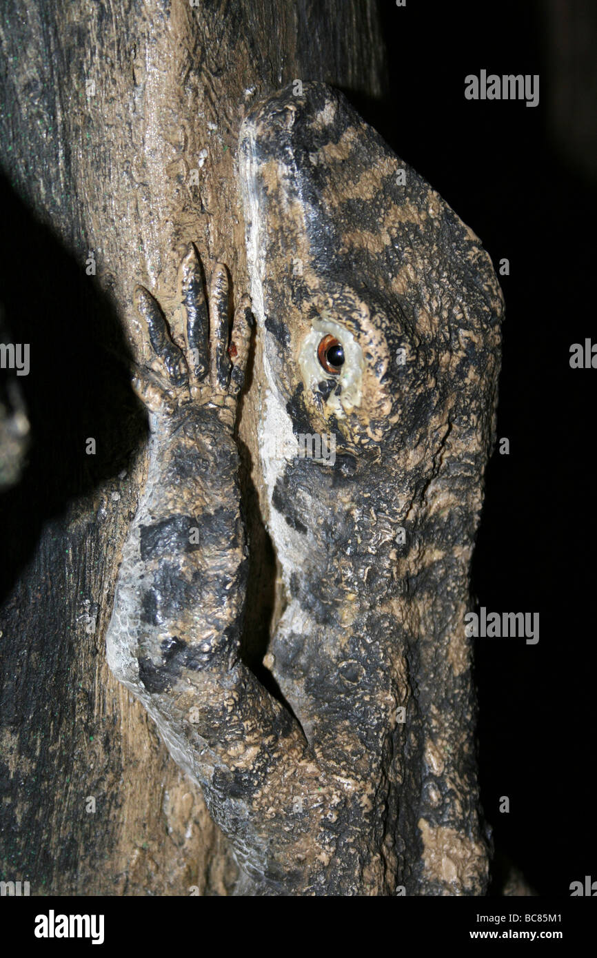 Holzskulptur eines Komodo-Drachen am Chester Zoo, England, UK Stockfoto