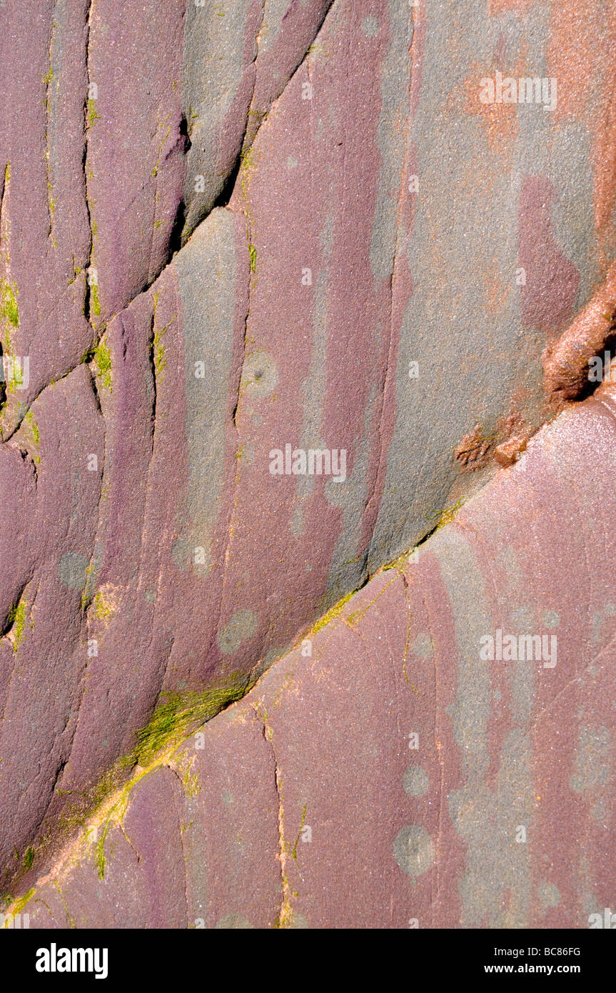 Abstrakten Detail der roten Felsen der Küste. Stockfoto