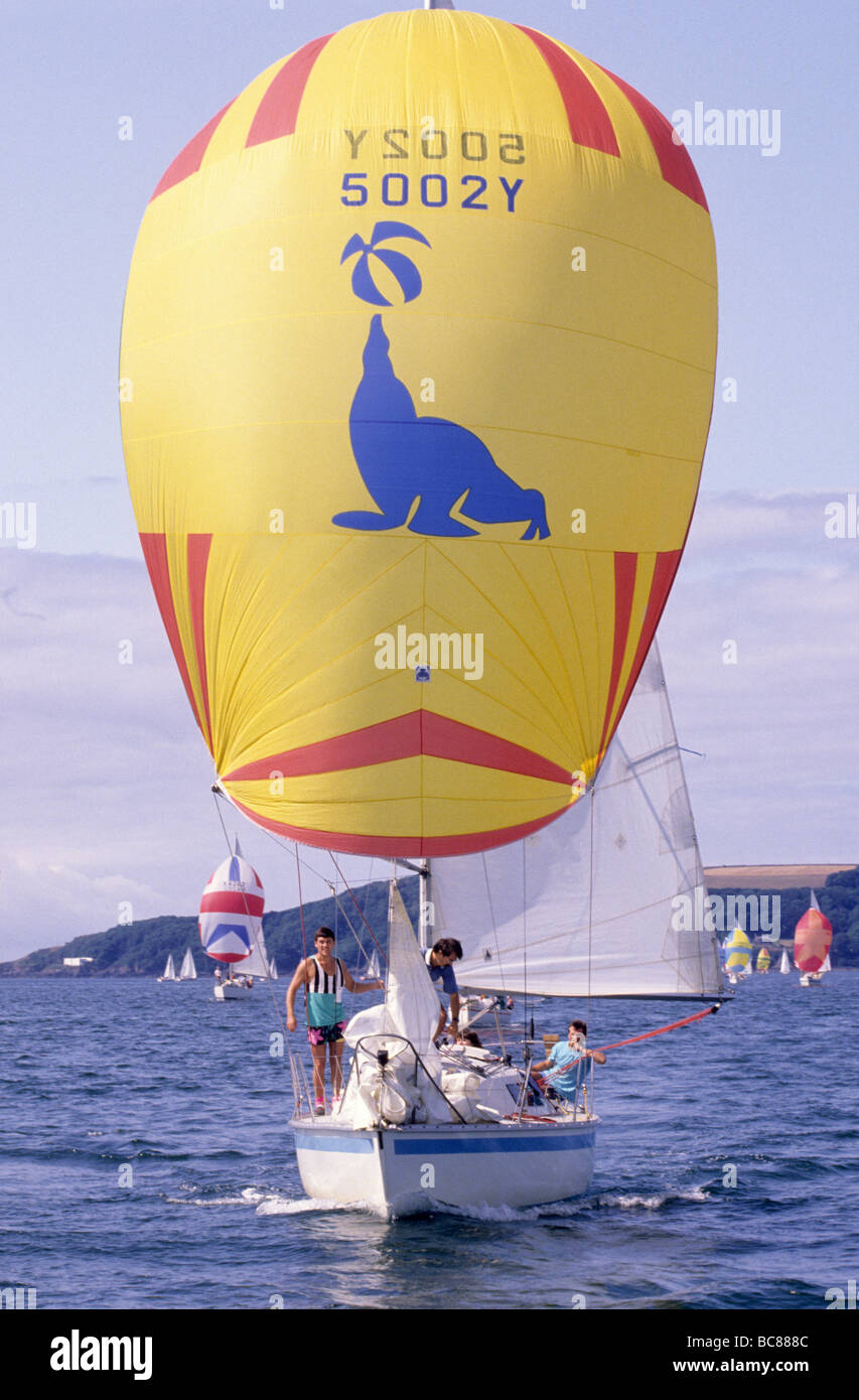 Segeln auf dem Meer Yacht Boot Gelb Segel Siegel, die Seelöwen Westaway Segel Stockfoto