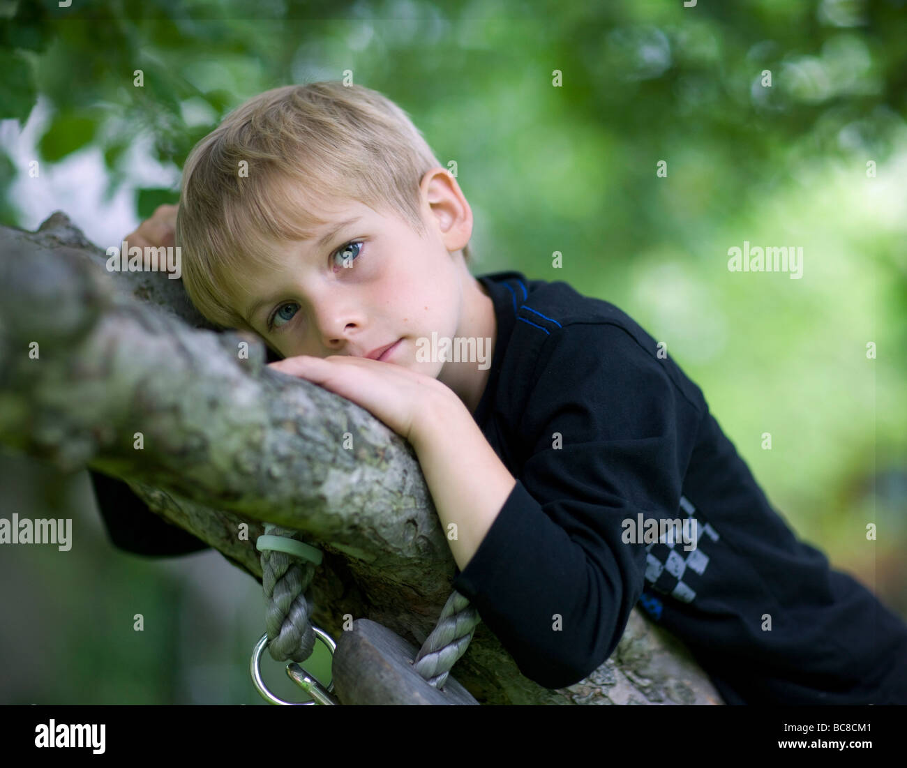 ein 6 Jahre alter Junge ruht auf einem Baum Stockfoto
