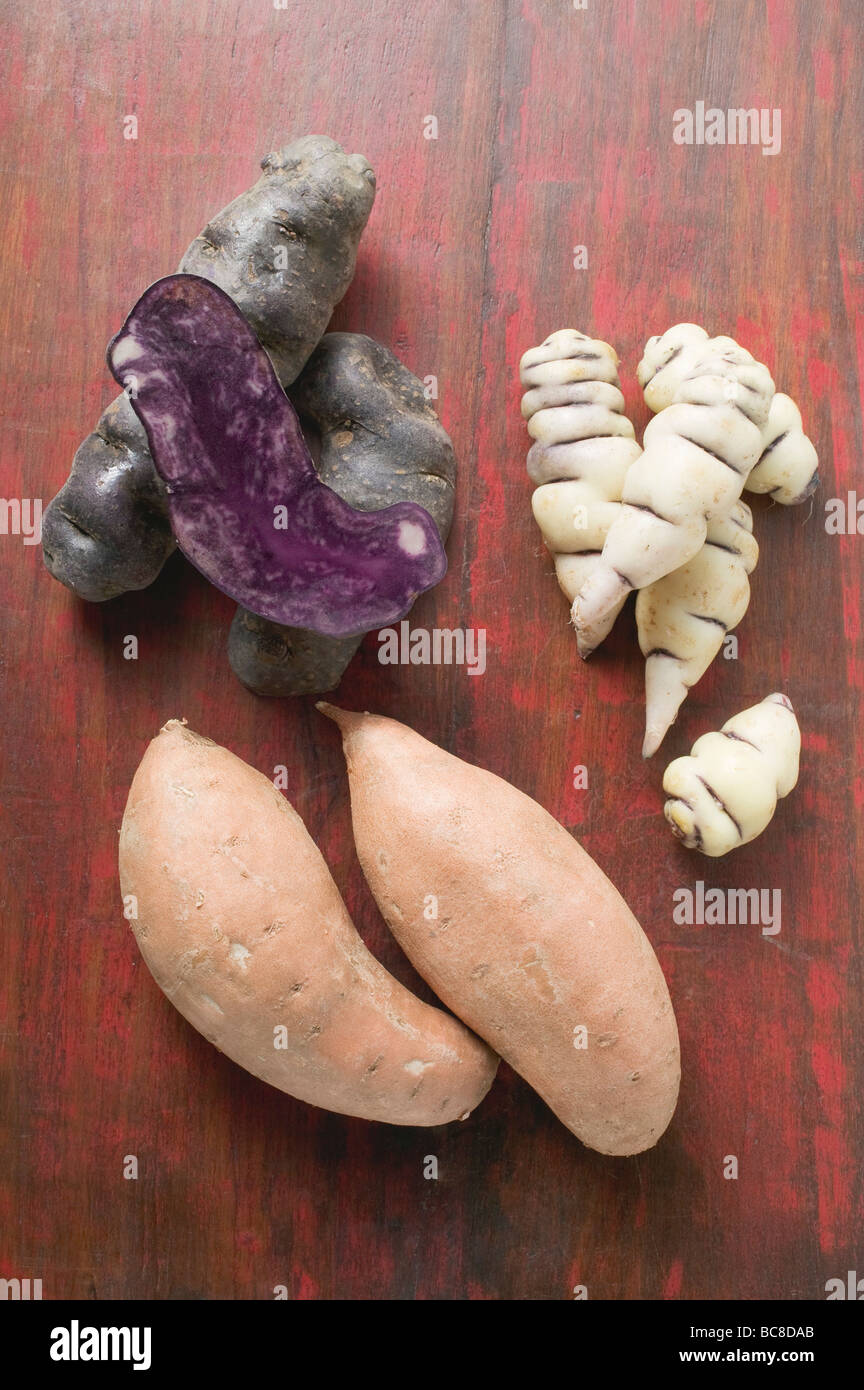 Trüffel-Kartoffeln, Ocas und Süßkartoffeln- Stockfoto