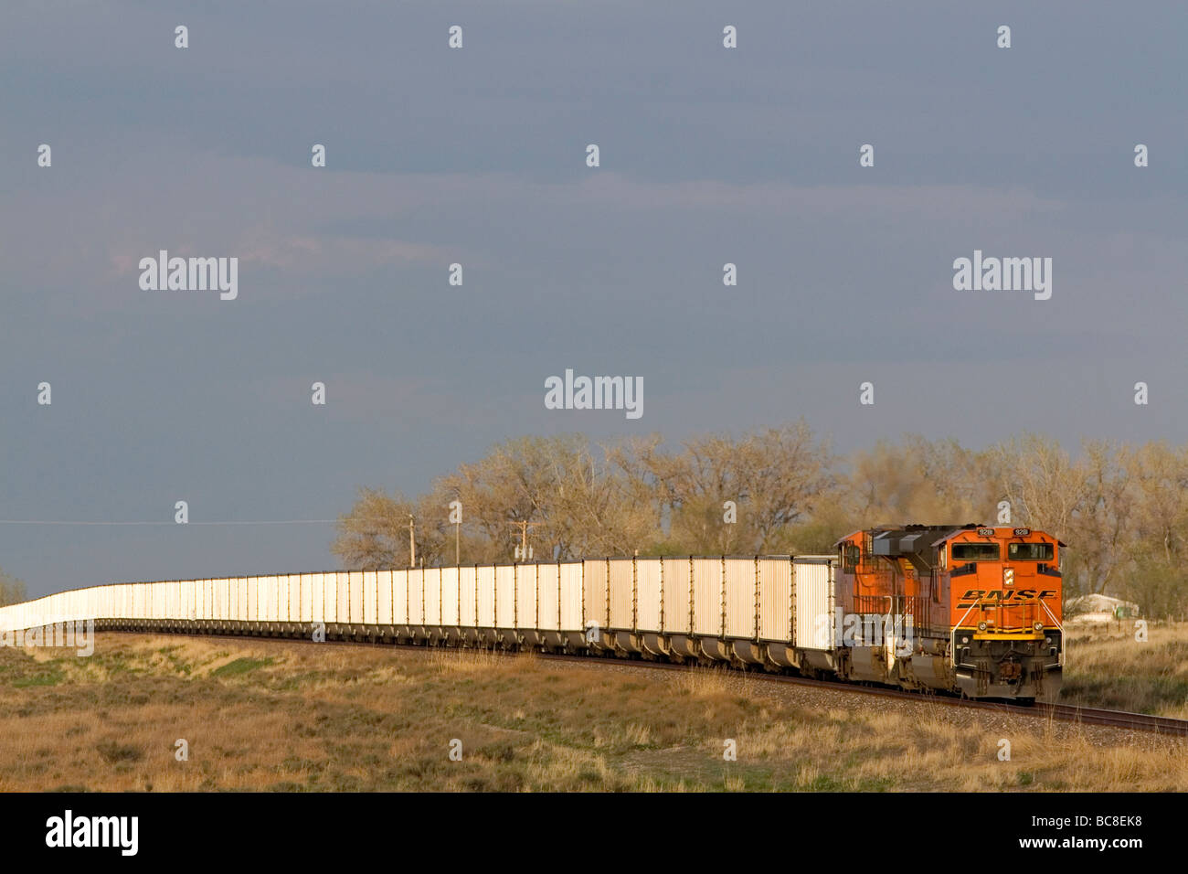 BNSF Railway Güterzug schleppen Kohle Autos in der Nähe von Ft Morgan Colorado USA Stockfoto