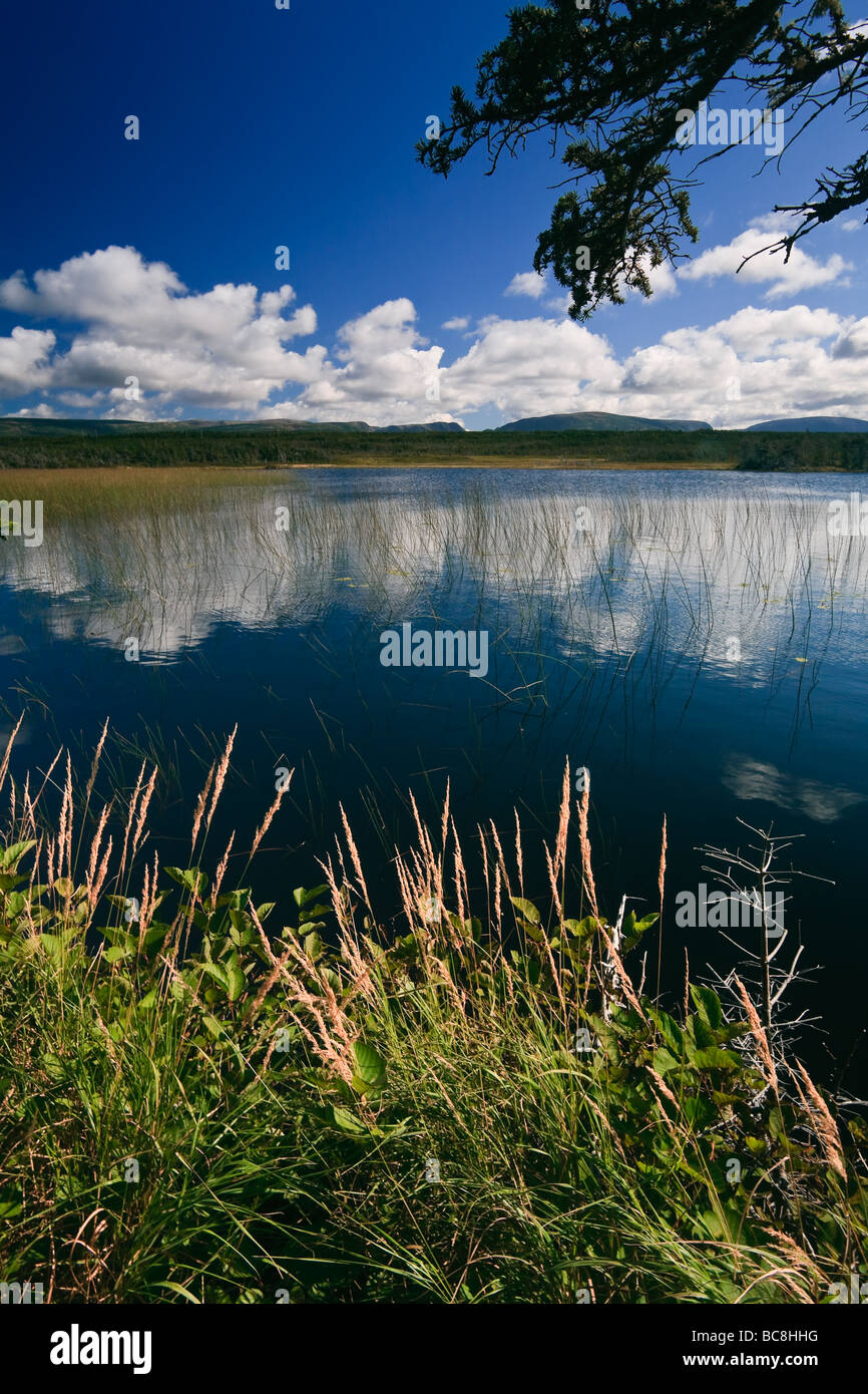 Teich und Long Range Mountains, Gros Morne National Park, Neufundland, Ostkanada zu kippen. Stockfoto
