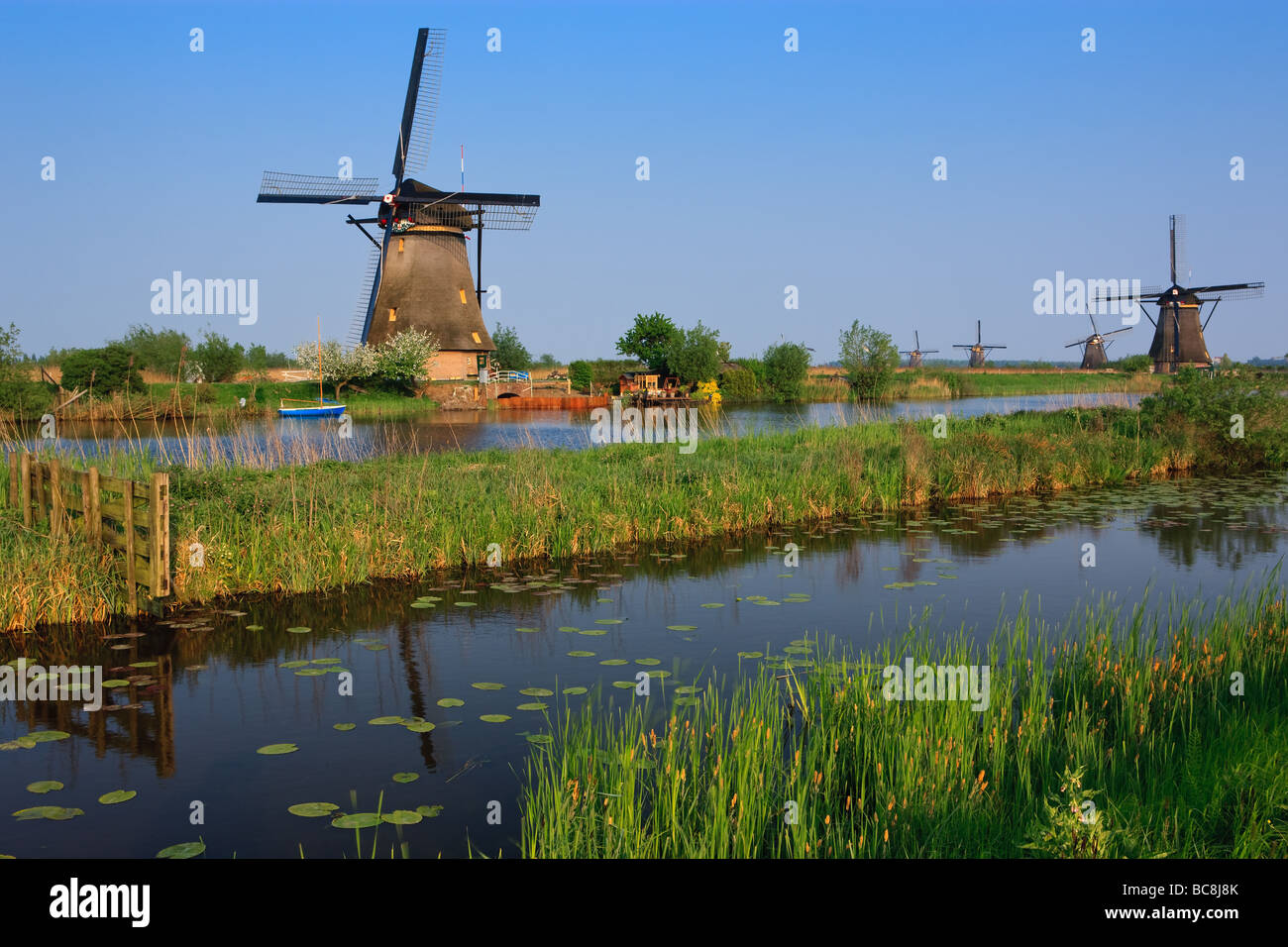 Windmühlen in Kinderdijk, Niederlande Stockfoto